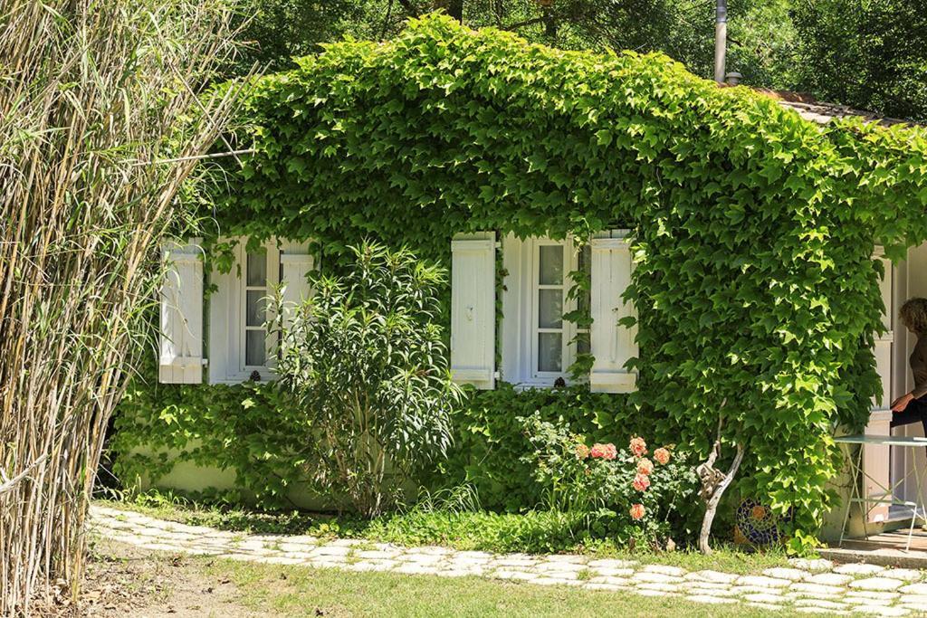 Les Gites Du Domaine De Rhodes Avignon Pokoj fotografie