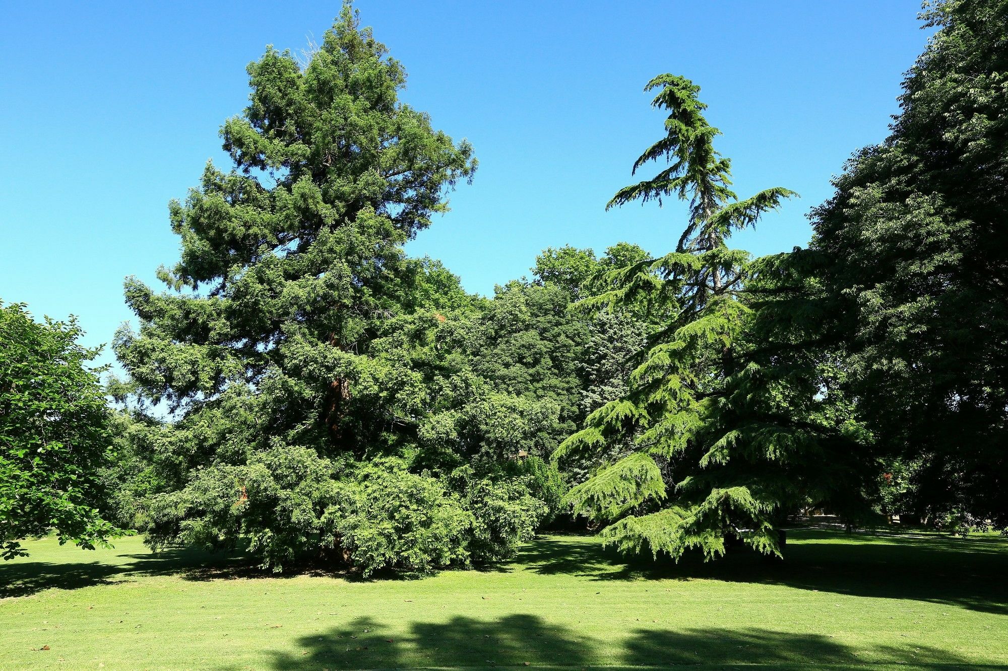 Les Gites Du Domaine De Rhodes Avignon Exteriér fotografie